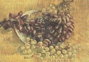 Vincent Van Gogh Still life wtih Grapes (nn04) oil painting reproduction